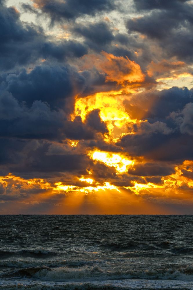 Фотография автора Elvijs Kalnins