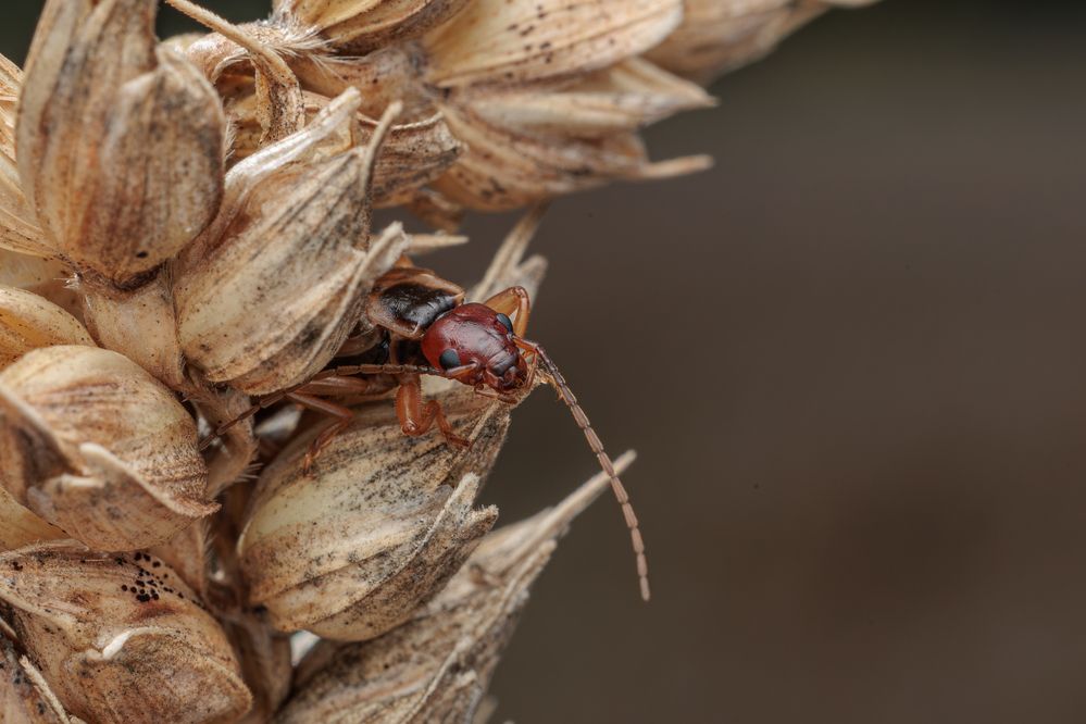Фотография автора Дмитрий