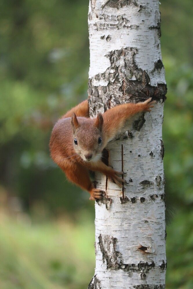 Photograph by Мария Глухова