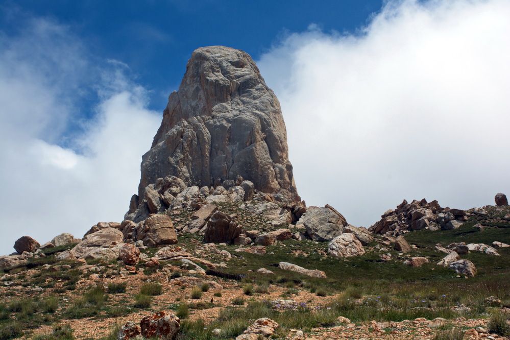 «Вечный страж туманов»
