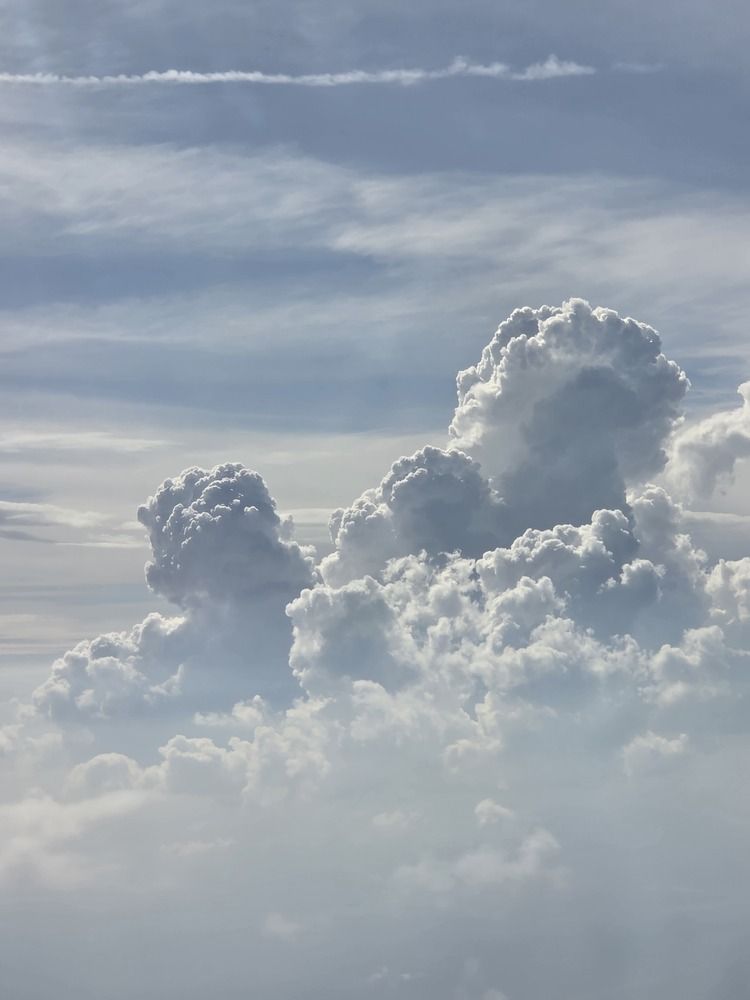 Фотография автора Светлана Ощепкова