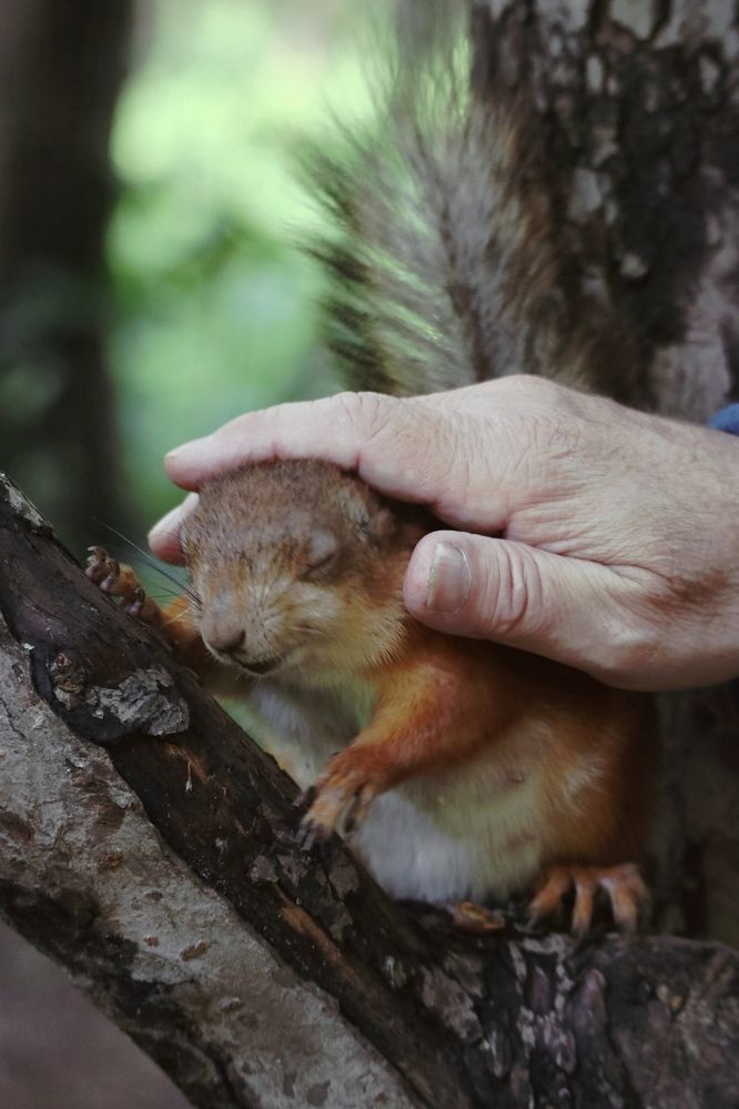 Photograph by Мария Глухова