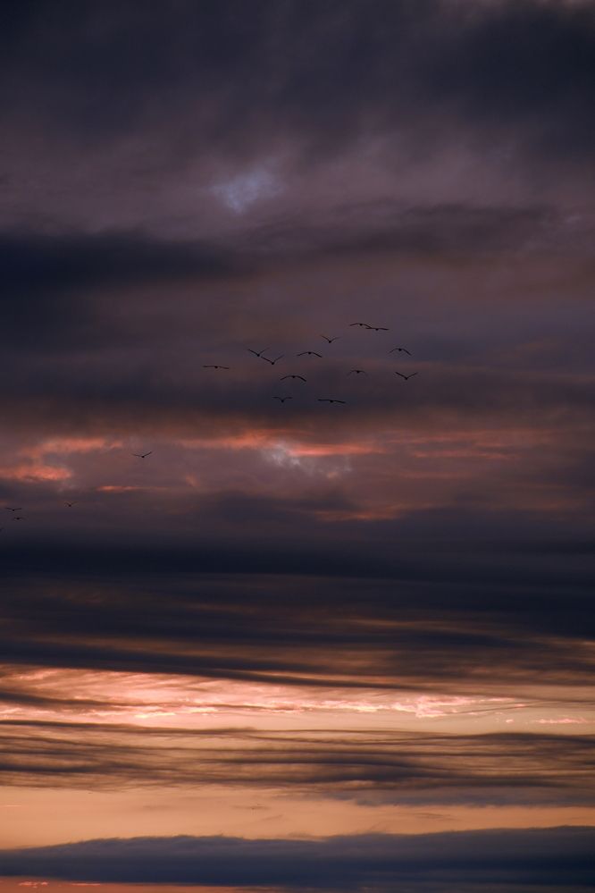 Фотография автора Светлана Ощепкова