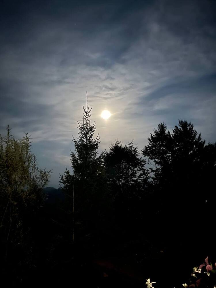 Photograph by Татьяна Пальчикова