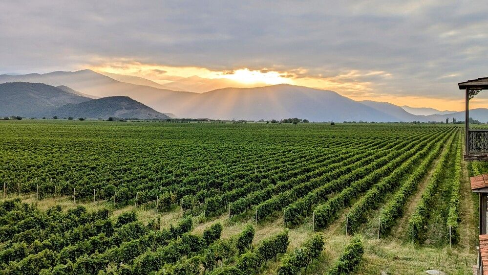 Photograph by Lilit Petrosyan