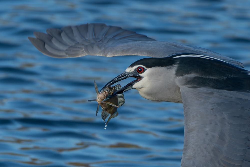 Photograph by Guy Wilson