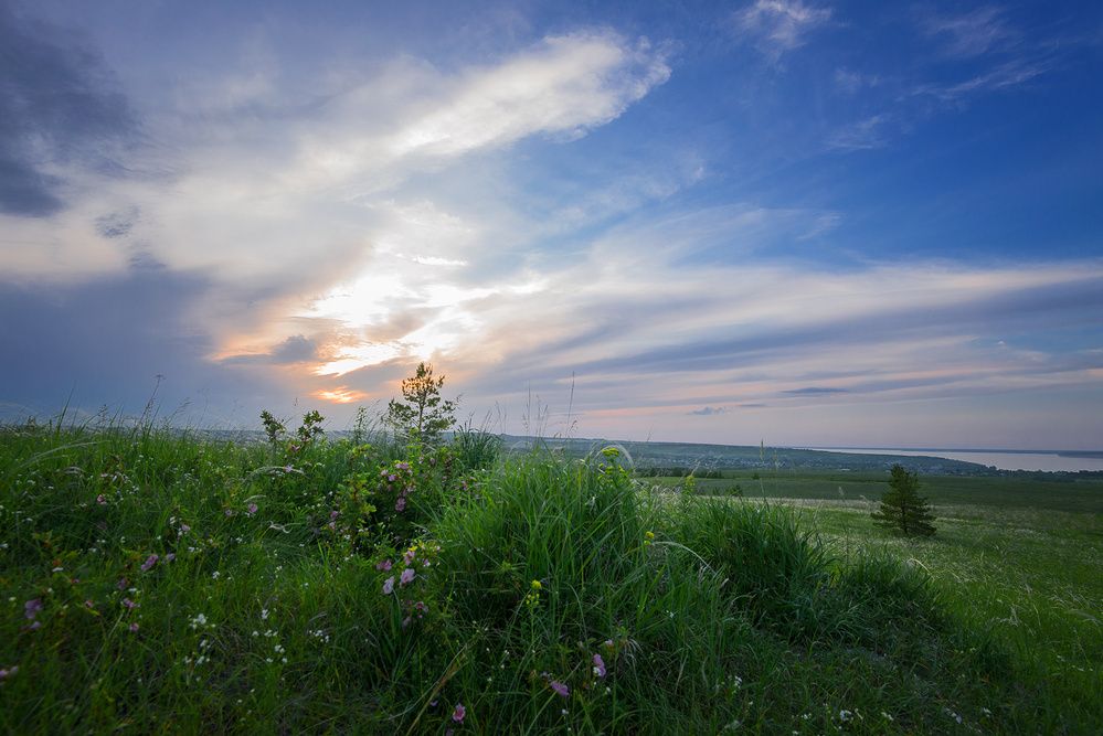 Photograph by Владислав Никишин