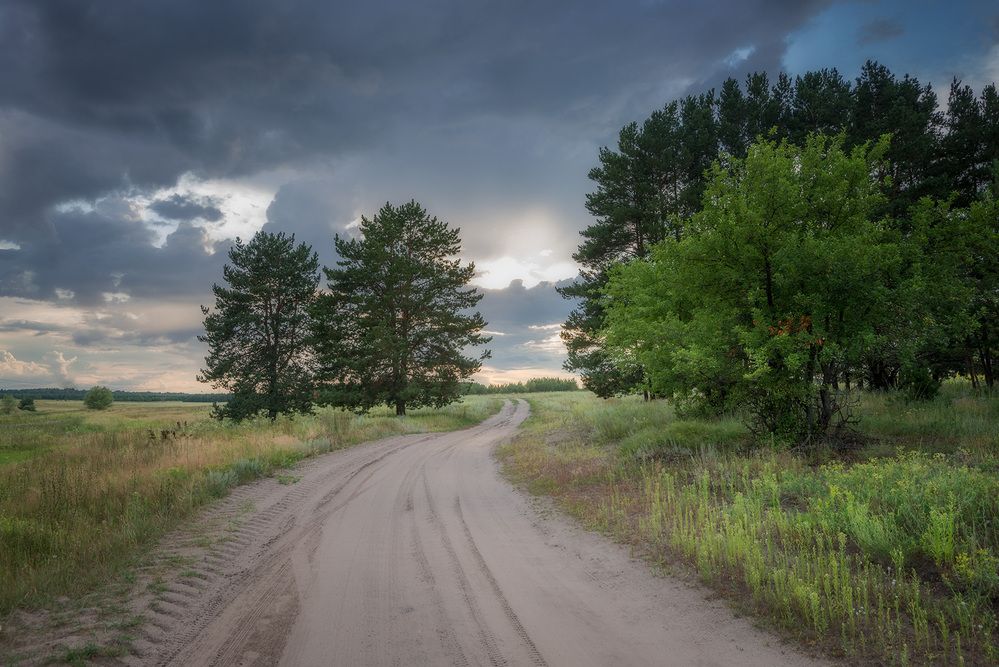Photograph by Владислав Никишин