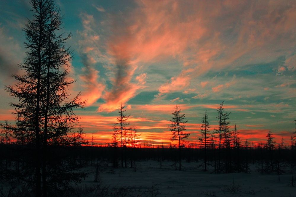 Photograph by Александр Велигура