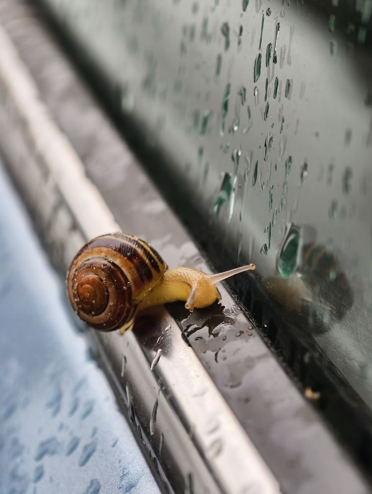 Photograph by Галина Бессуднова