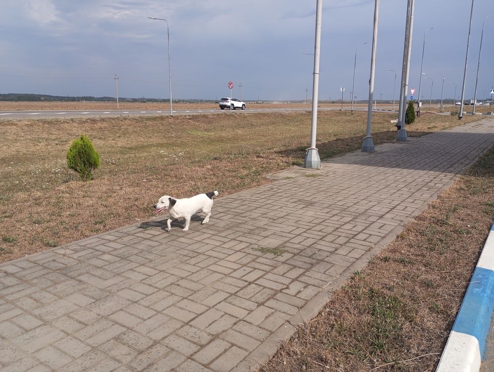 Photograph by Савина Анастасия Николаевна