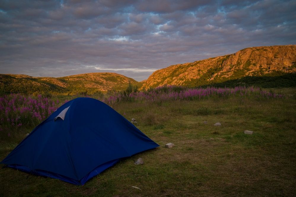 Photograph by Ольга Яскунова