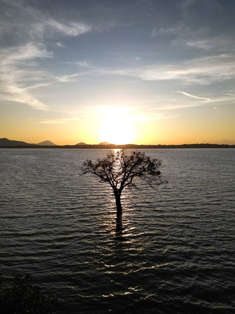 Photograph by Felix Schickel