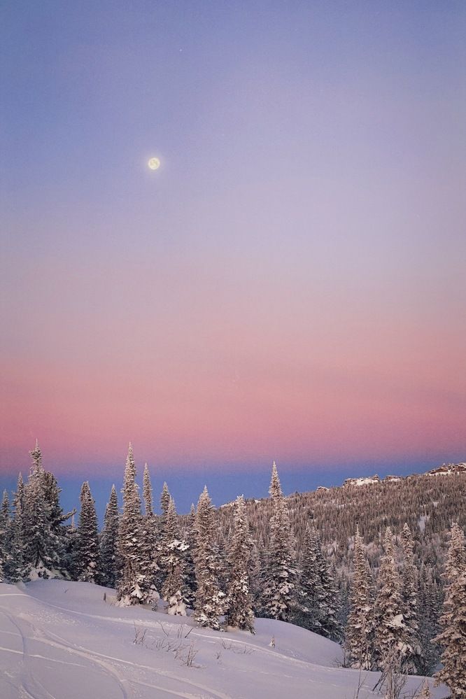 Фотография автора Постельный Дмитрий