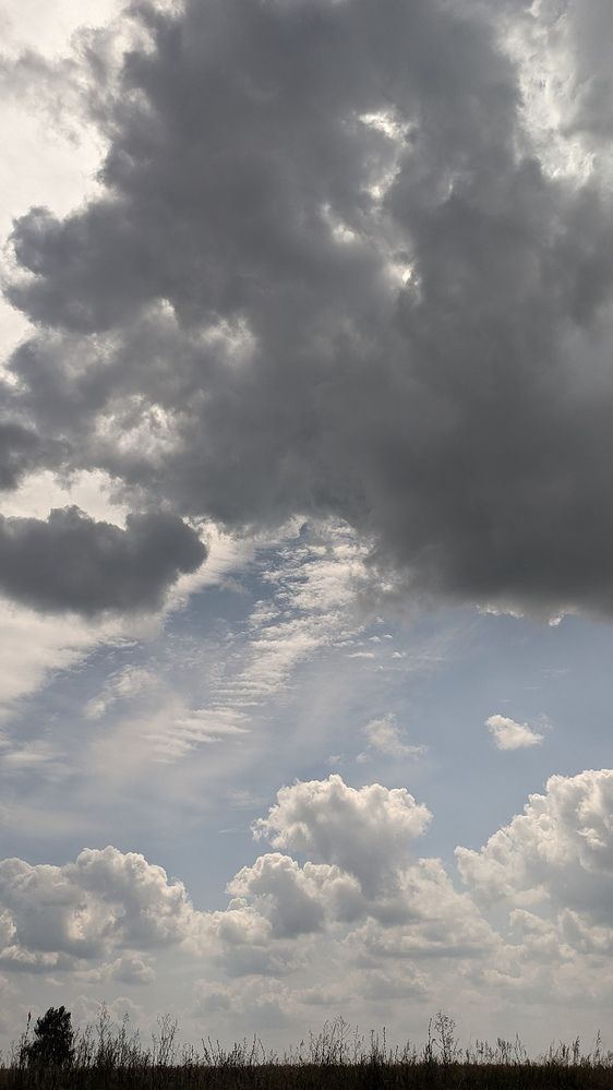 Фотография автора Васильева Ирина