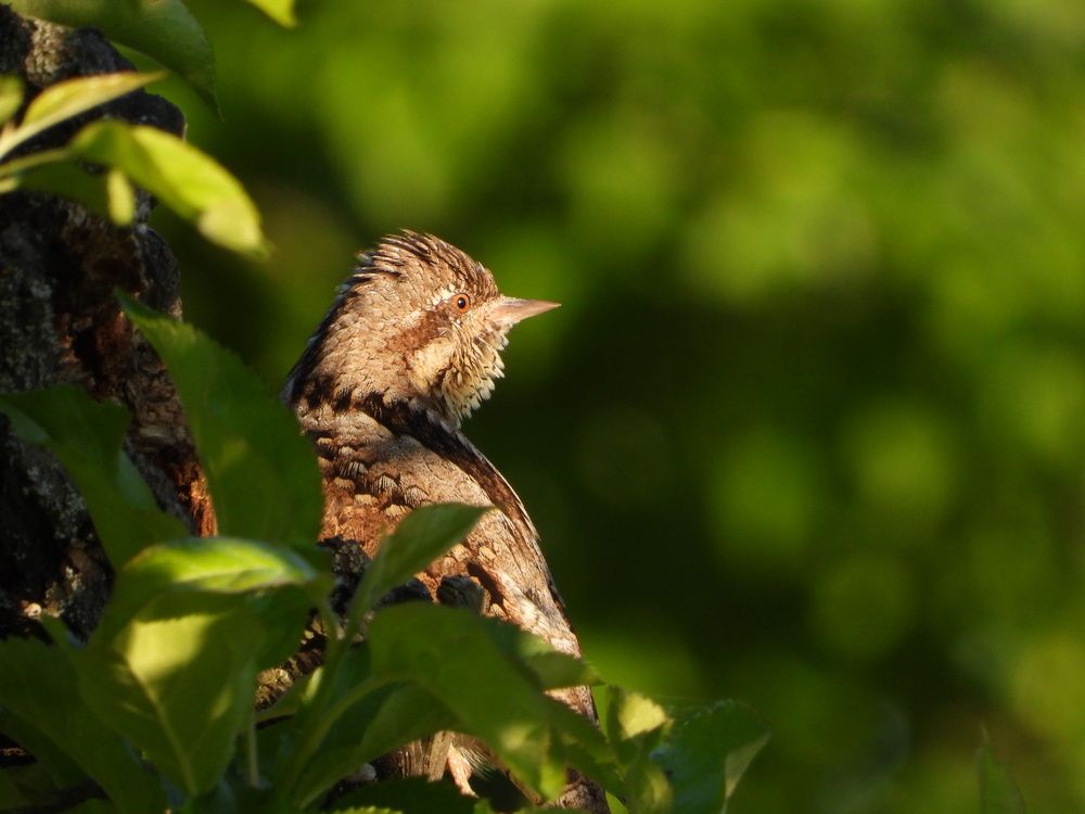 Photograph by Александр Захаров