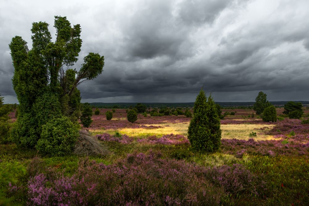 Photograph by Евгения Чех