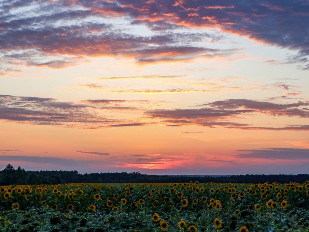 Photograph by Ирина Корабельникова