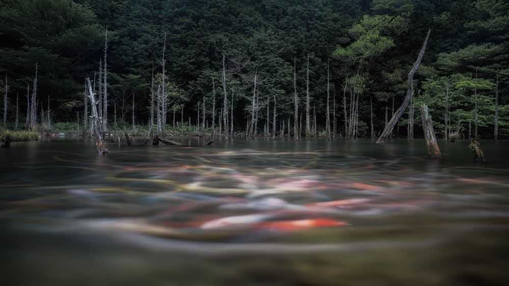 Photograph by Yoshiki Abe