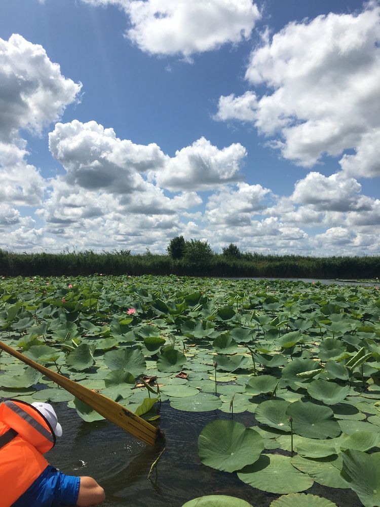 Photograph by Ангелина Марушко