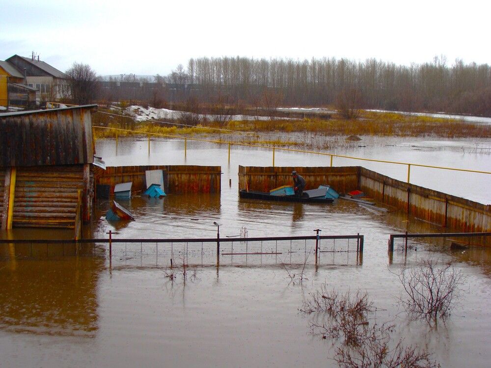 Photograph by Николай Худяков