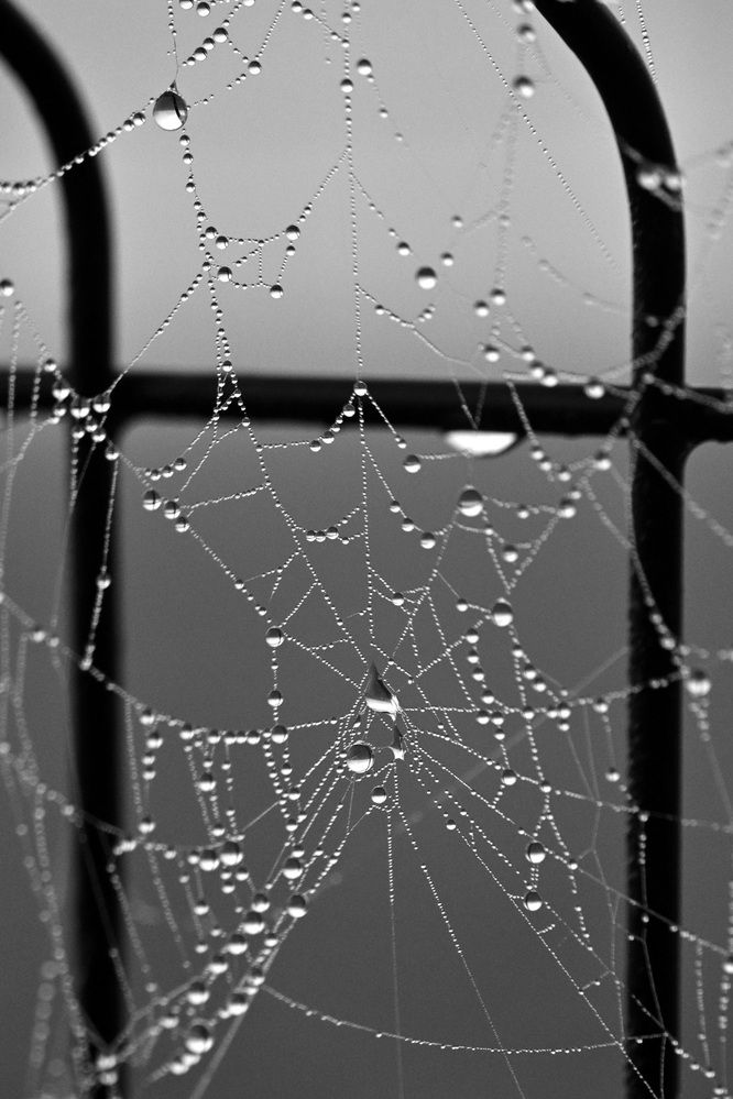 Photograph by Егор Жук