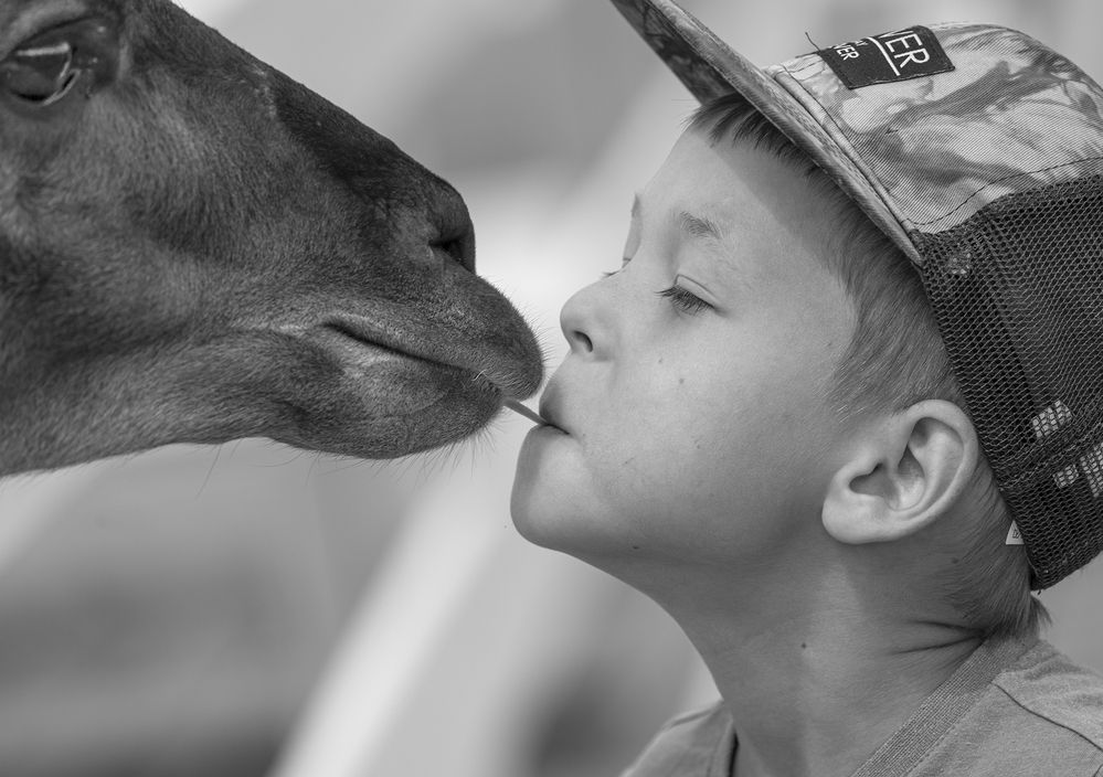 Фотография автора Анатолий Макоедов