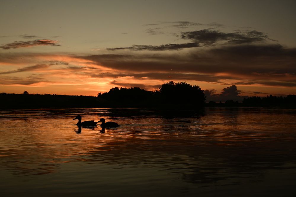 Photograph by Егор Жук