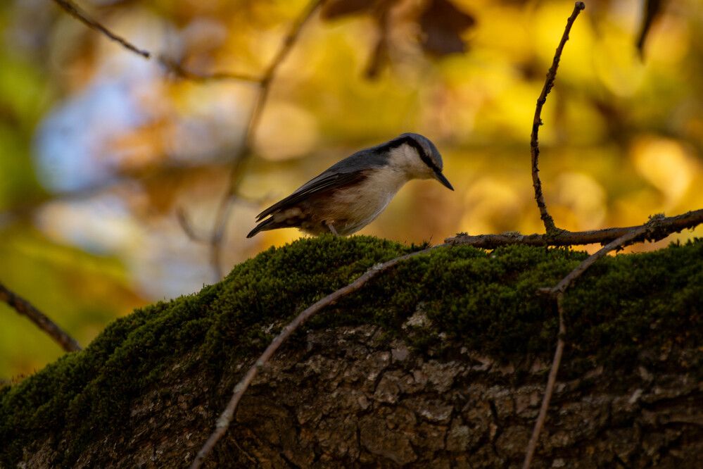 Photograph by Игорь Симонов