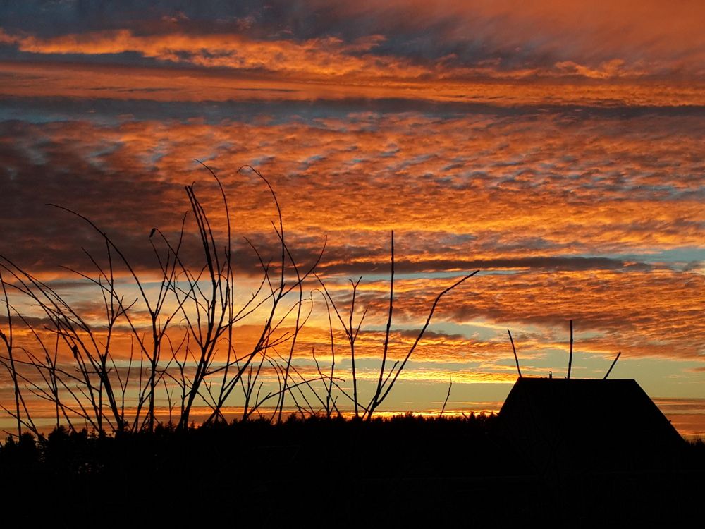 Photograph by Ольга Евтухова