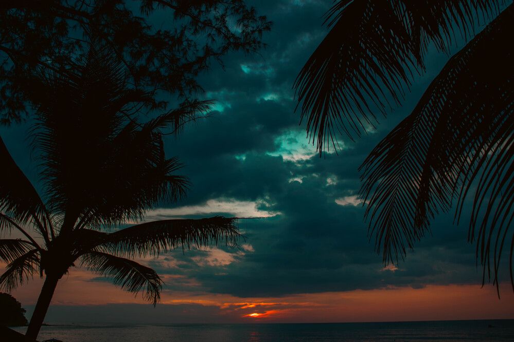 Photograph by Игорь Симонов