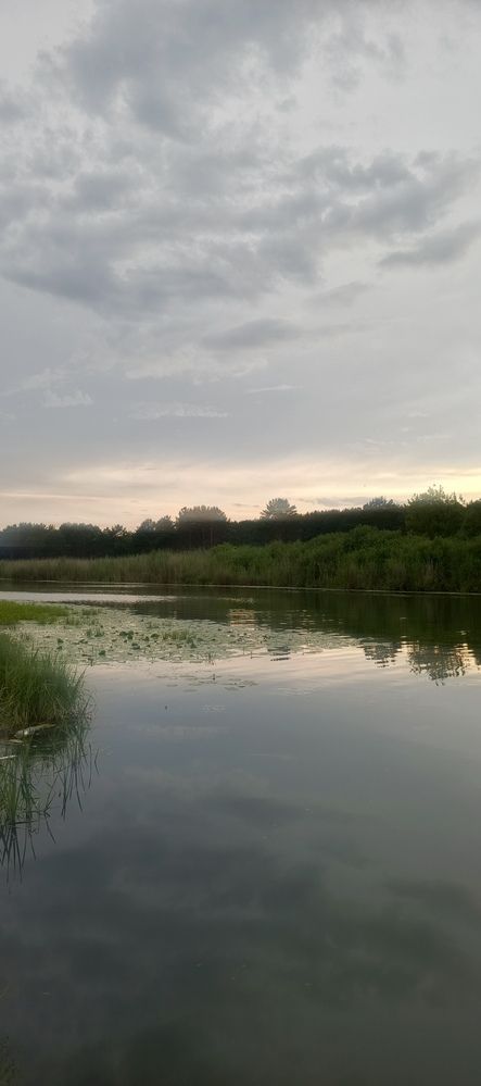 Фотография автора Ольга Петрова