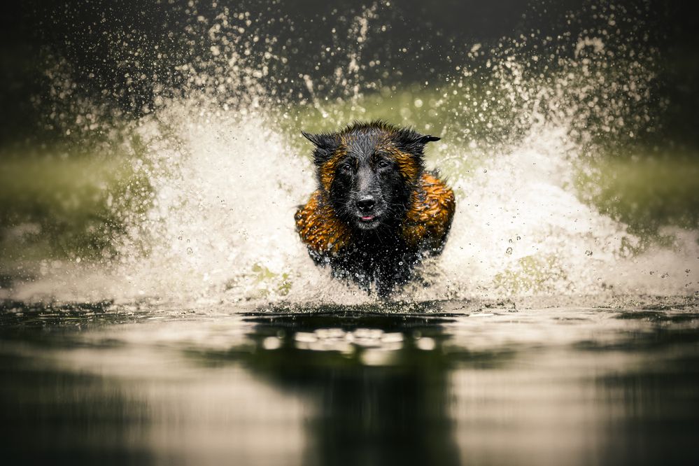 Photograph by Lucie Nermuťová