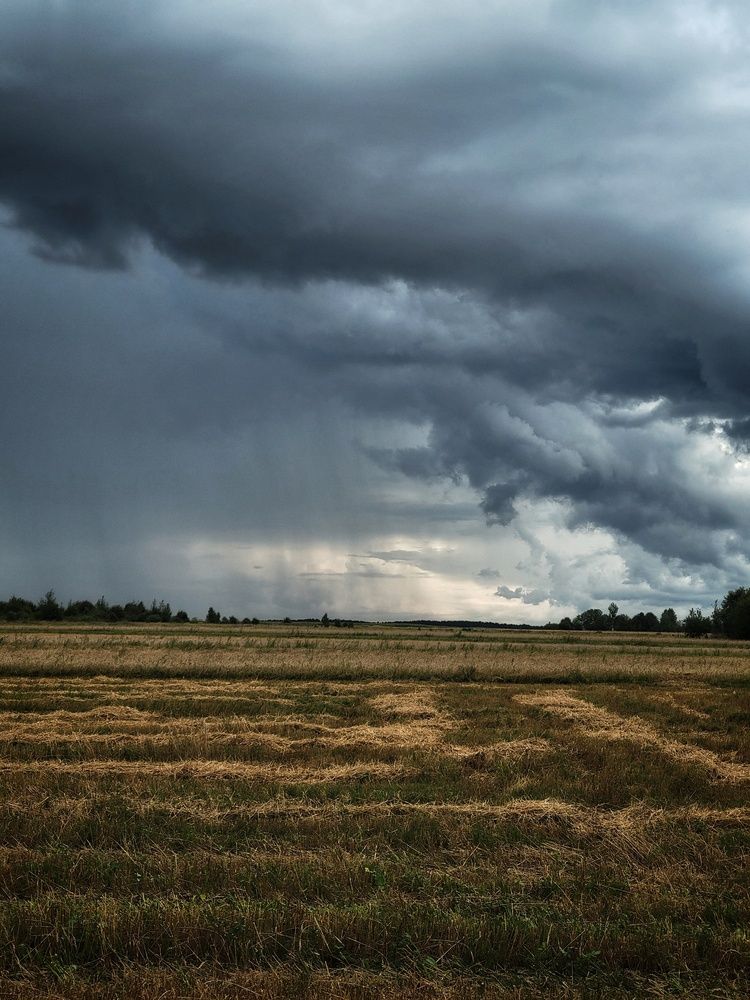 Photograph by Алина