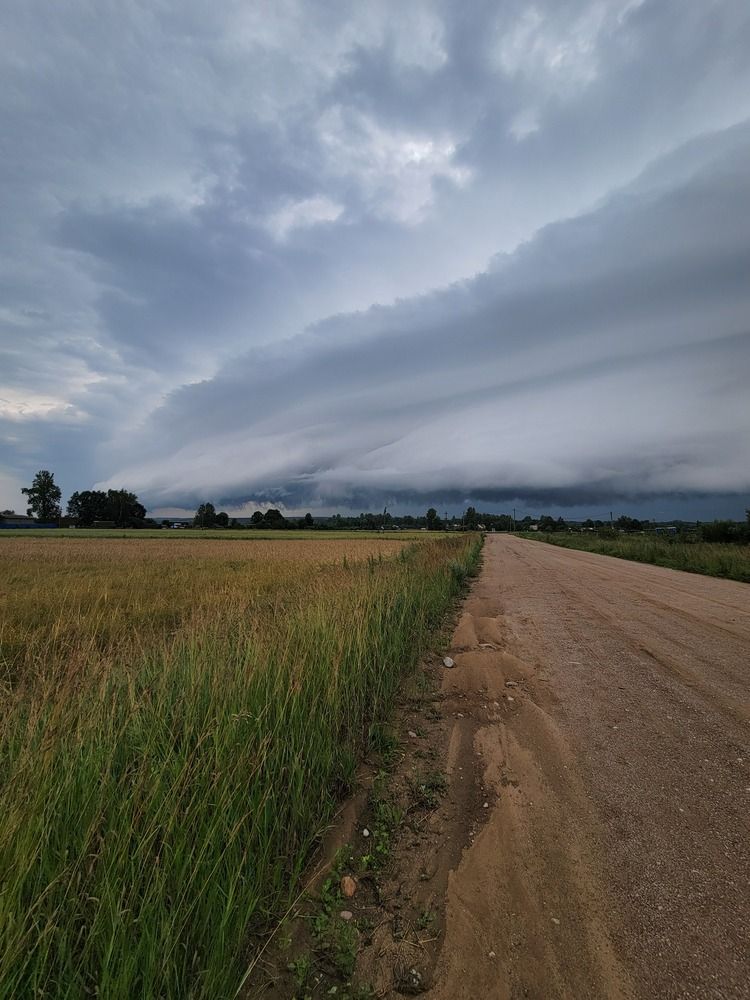 Photograph by Алина