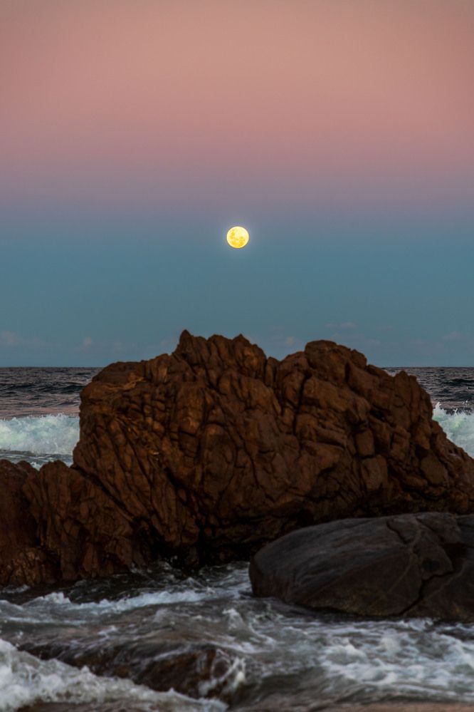 Фотография автора Marcelo Vaz