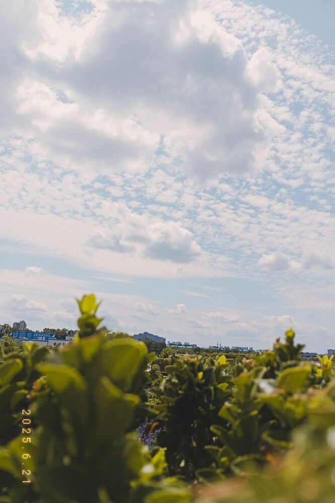 Photograph by Савина Анастасия Николаевна