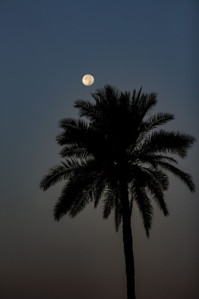 Photograph by karimi souderjani mahdi