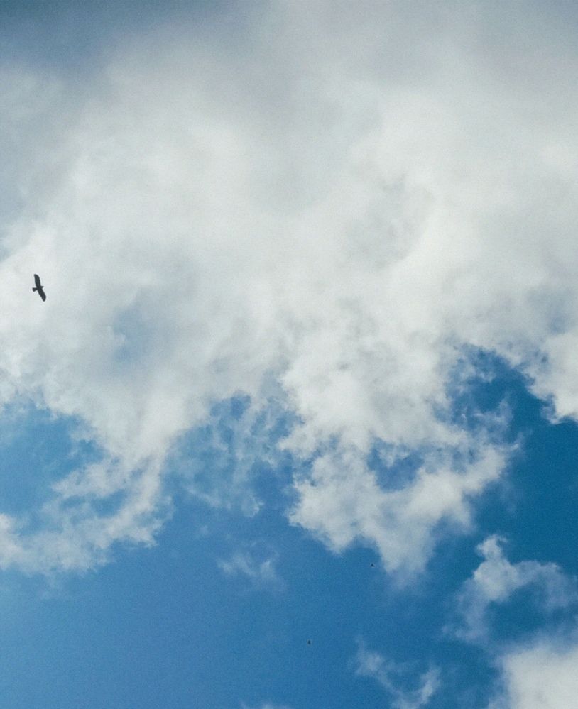 Photograph by Савина Анастасия Николаевна