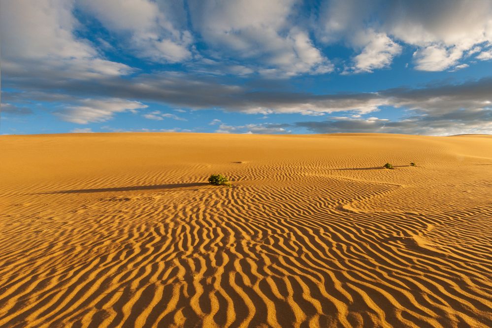 Фотография автора Наталья Решетник