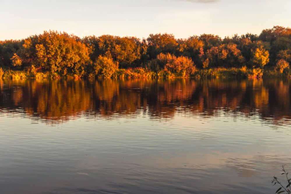 Photograph by Михаил Костыря