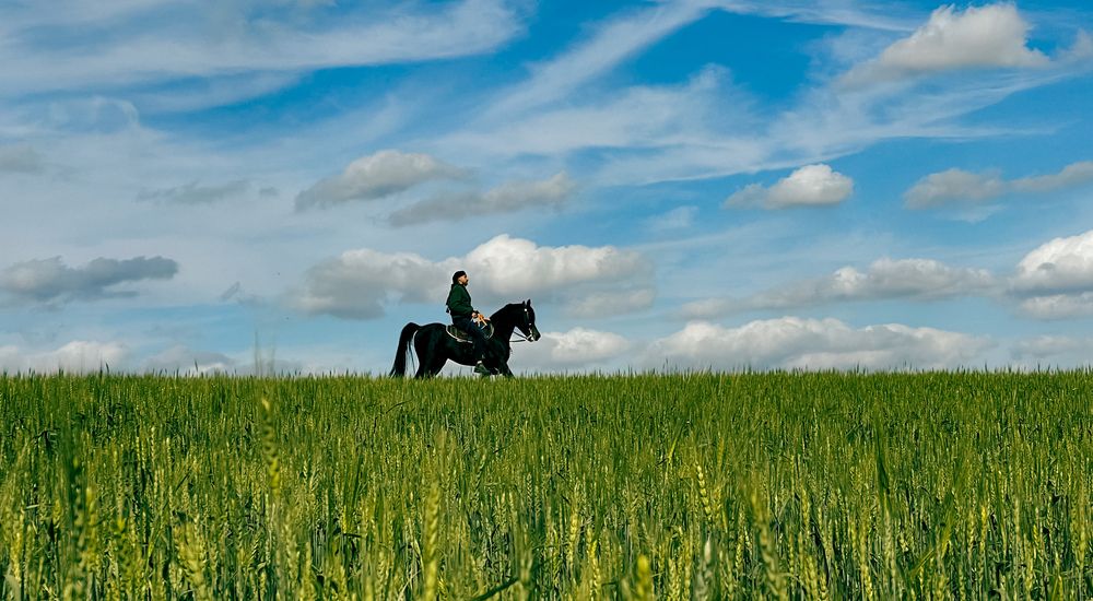 Photograph by Svetlana Garifullina