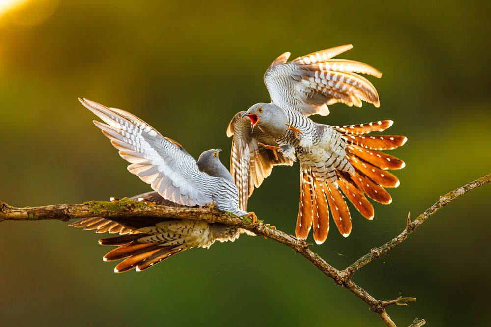 Photograph by Patryk Kurc