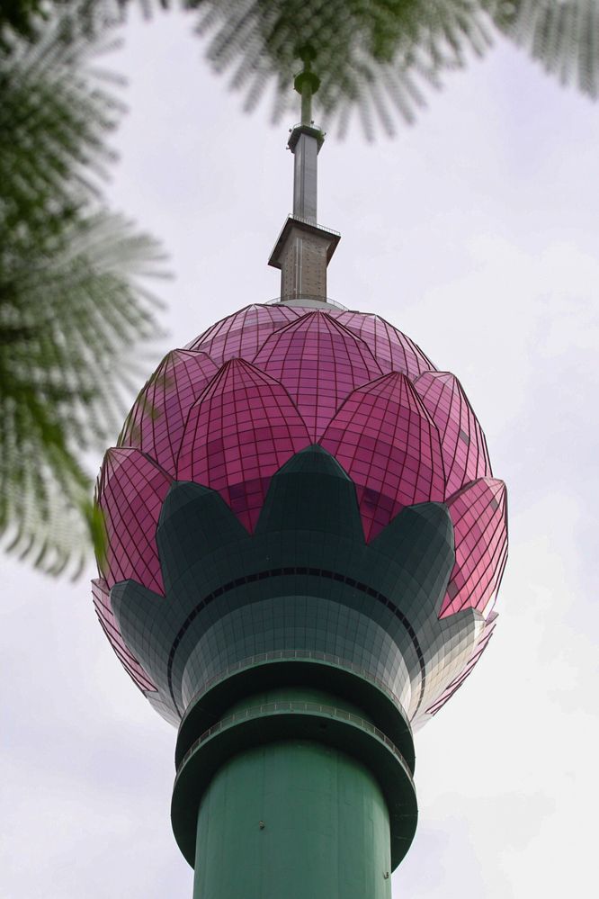 Photograph by Chanika Dulnitha