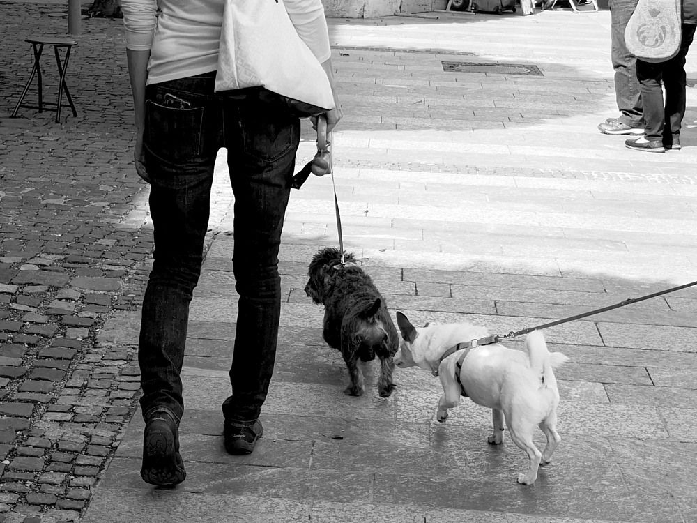 Photograph by Marina Razheva