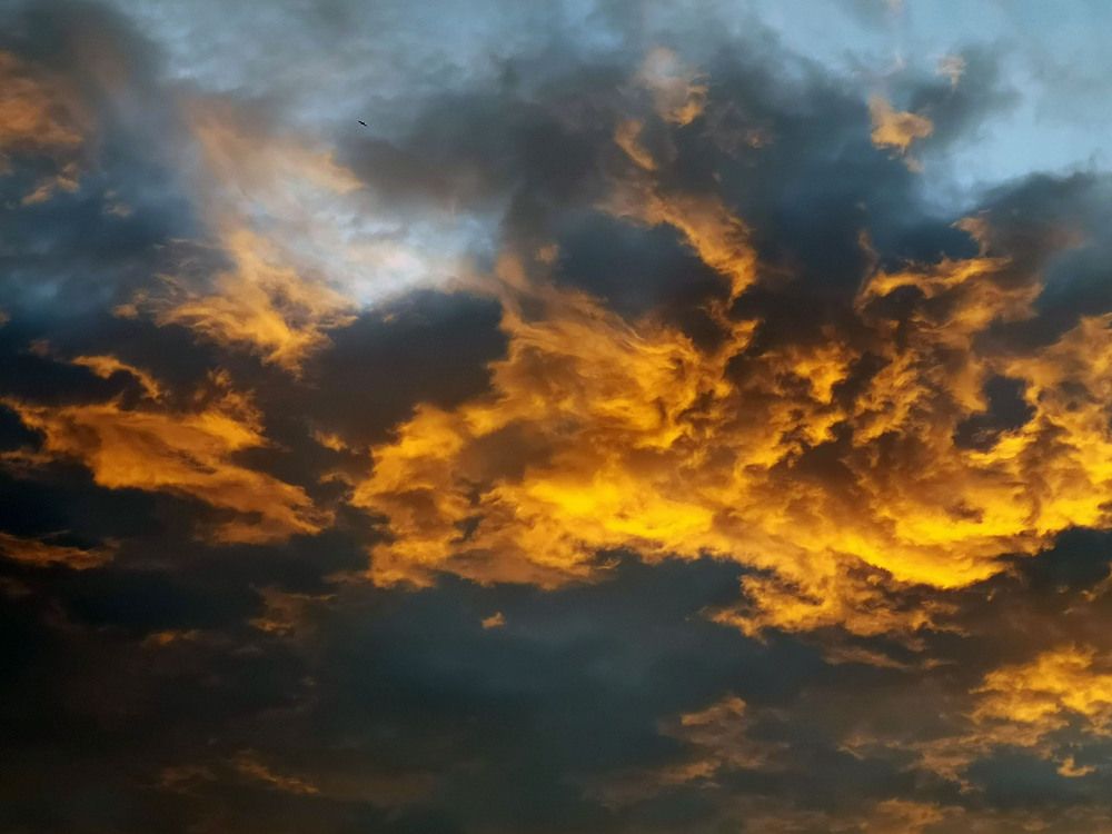 Photograph by Marina Razheva