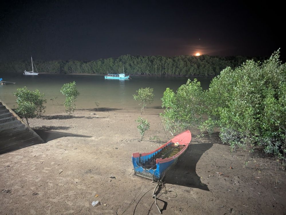 Photograph by Marina Razheva