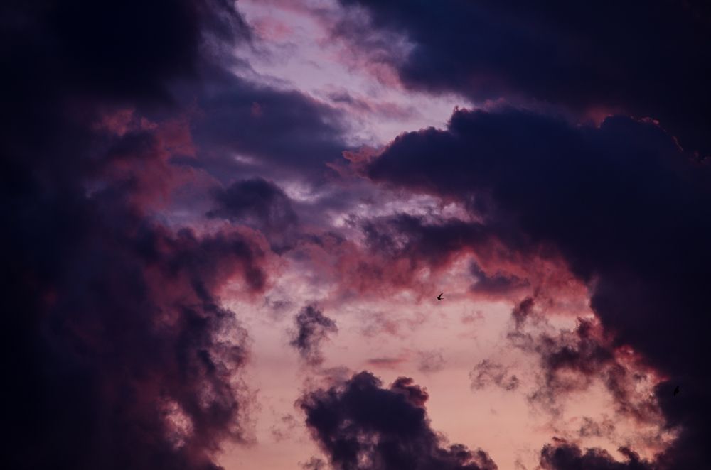 Photograph by Максим Буров