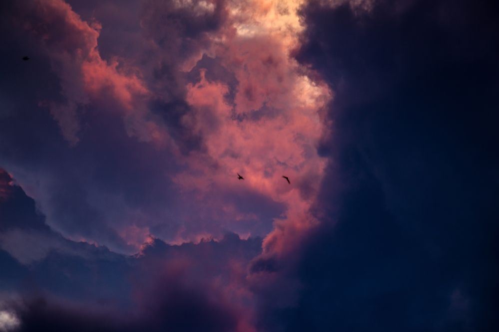 Photograph by Максим Буров