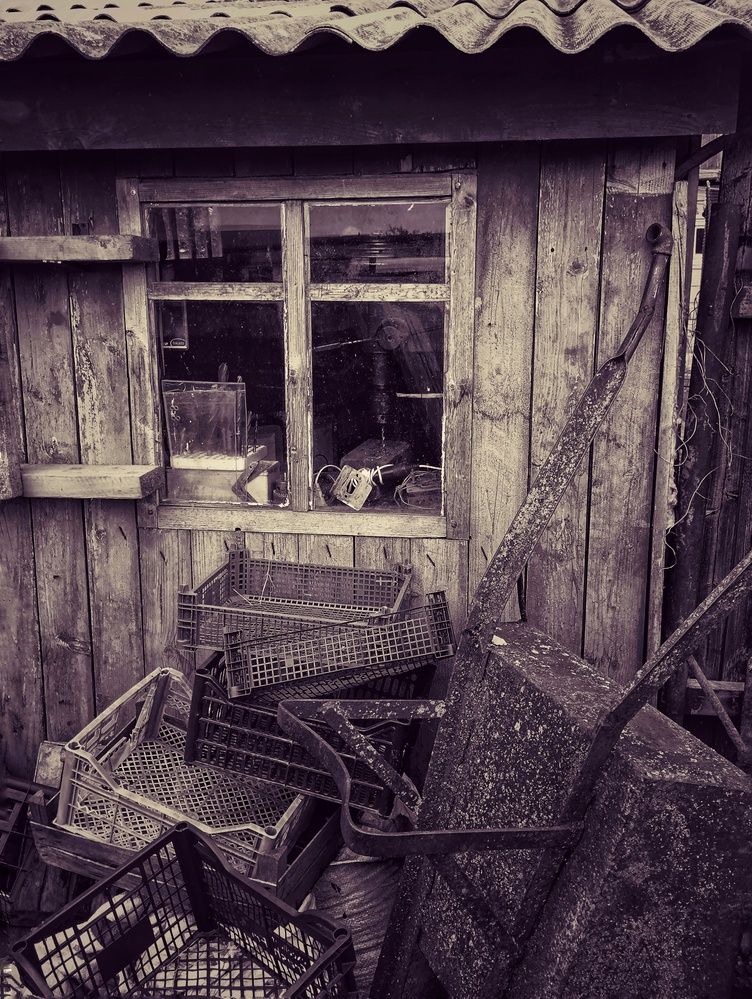Photograph by Юлия Казимирова